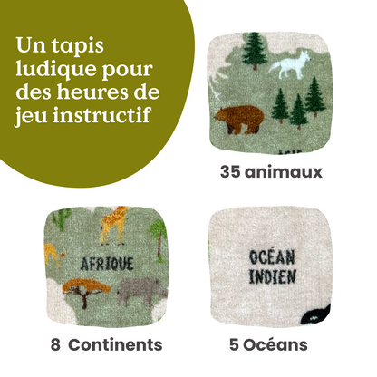 Tapis de l'explorateur 🌍